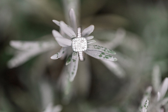 Jennifer B Photography-Engagement Session-E&E-2018-0114_