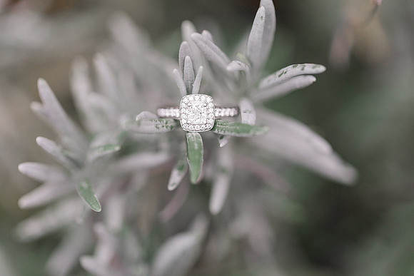 Jennifer B Photography-Engagement Session-E&E-2018-0115_