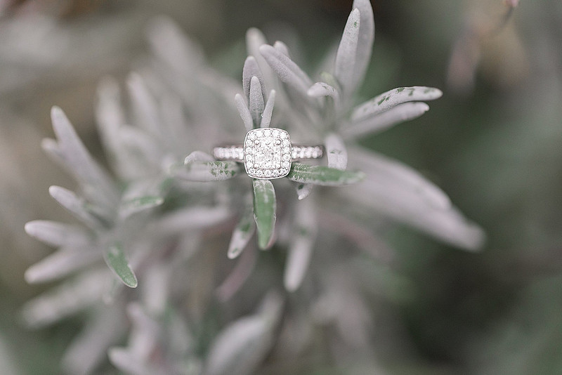 Jennifer B Photography-Engagement Session-E&E-2018-0115_