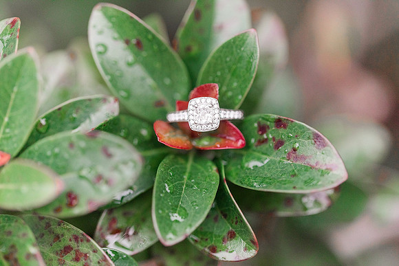 Jennifer B Photography-Engagement Session-E&E-2018-0119_