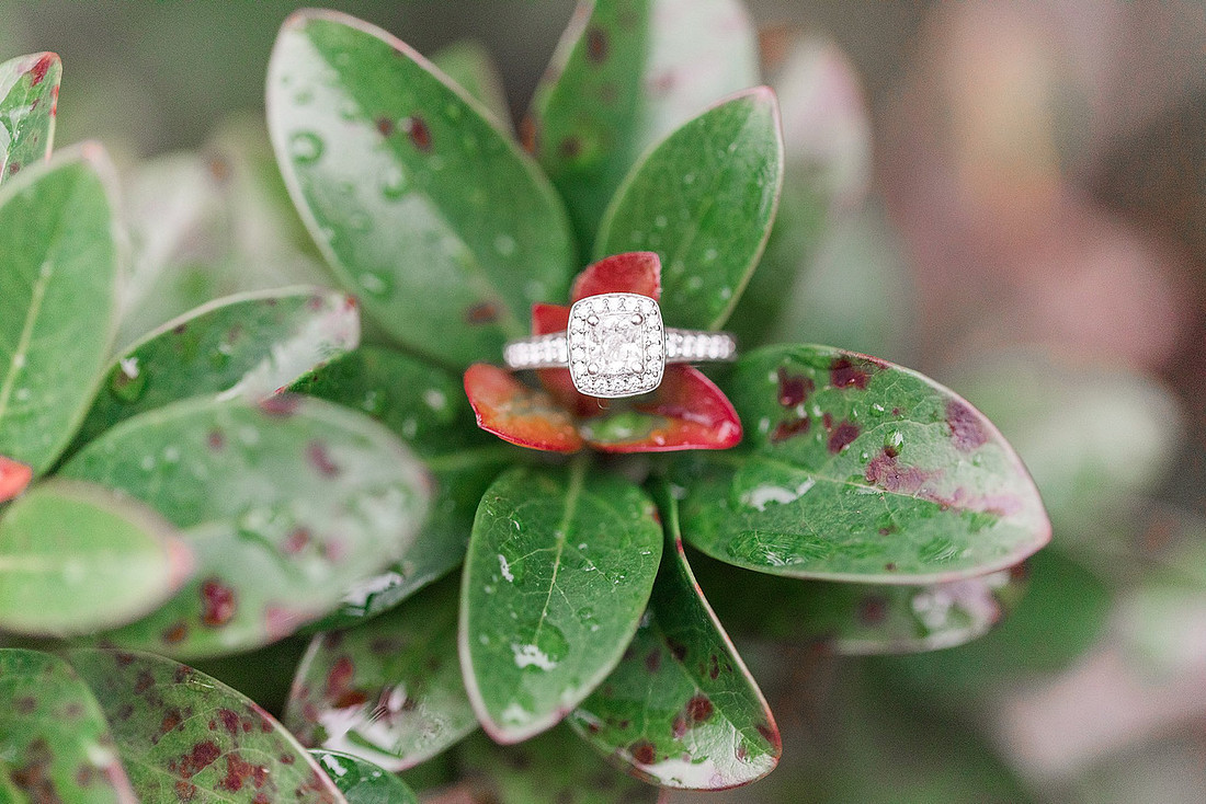 Jennifer B Photography-Engagement Session-E&E-2018-0119_