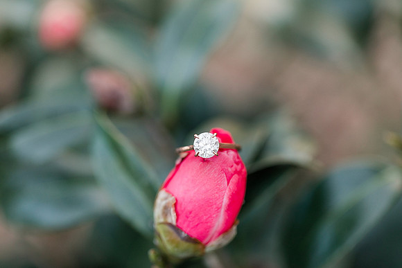 Jennifer B Photography-Richard & Casey-Engagement-2019-0114_