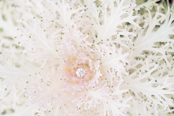 Jennifer B Photography-Richard & Casey-Engagement-2019-0121_