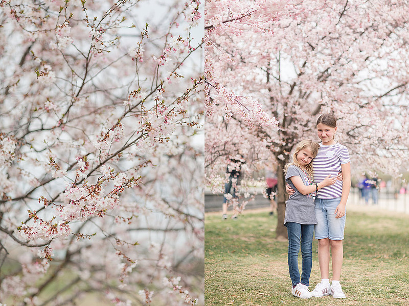 Jennifer B Photography-Trip to DC-Family-2019-0006_