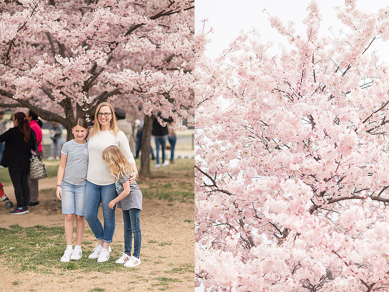 Jennifer B Photography-Trip to DC-Family-2019-0022_