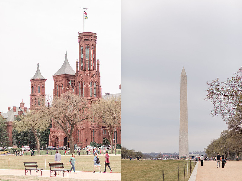 Jennifer B Photography-Trip to DC-Family-2019-0028_
