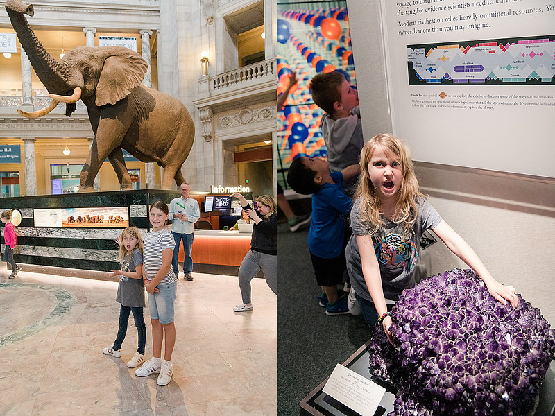 Jennifer B Photography-Trip to DC-Family-2019-0038_
