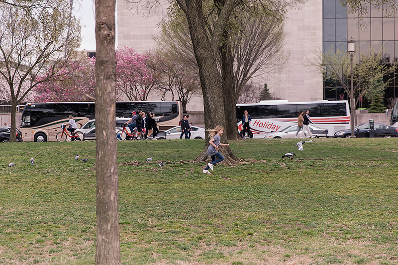 Jennifer B Photography-Trip to DC-Family-2019-0055_