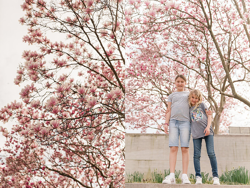 Jennifer B Photography-Trip to DC-Family-2019-0064_