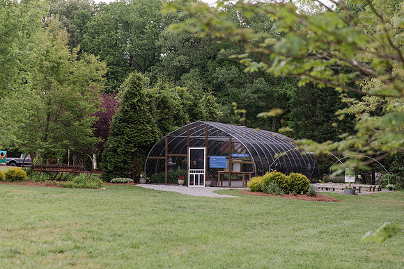 Jennifer B Photography-All a Flutter Butterfly Farm-Field trip-2019-0012