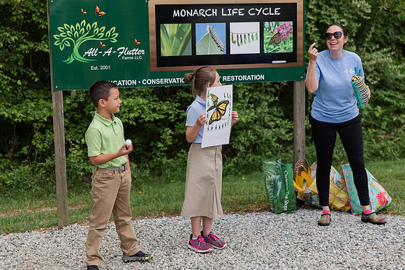Jennifer B Photography-All a Flutter Butterfly Farm-Field trip-2019-0016