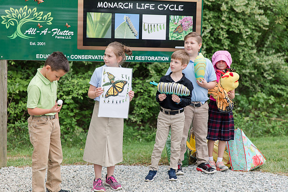 Jennifer B Photography-All a Flutter Butterfly Farm-Field trip-2019-0023