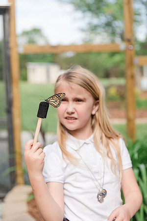 Jennifer B Photography-All a Flutter Butterfly Farm-Field trip-2019-0076