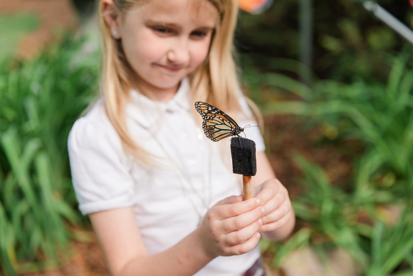 Jennifer B Photography-All a Flutter Butterfly Farm-Field trip-2019-0078