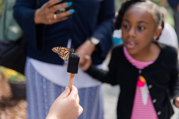 Jennifer B Photography-All a Flutter Butterfly Farm-Field trip-2019-0079
