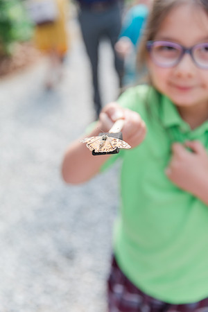 Jennifer B Photography-All a Flutter Butterfly Farm-Field trip-2019-0084