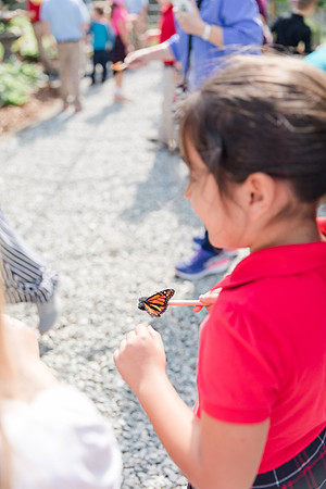 Jennifer B Photography-All a Flutter Butterfly Farm-Field trip-2019-0091