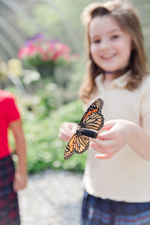 Jennifer B Photography-All a Flutter Butterfly Farm-Field trip-2019-0093