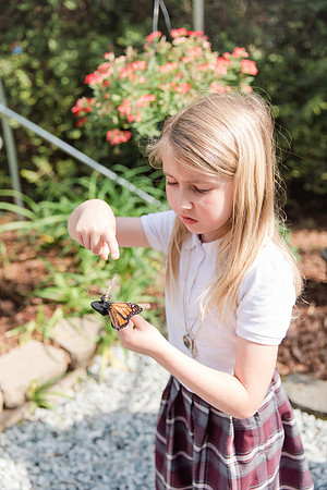 Jennifer B Photography-All a Flutter Butterfly Farm-Field trip-2019-0099