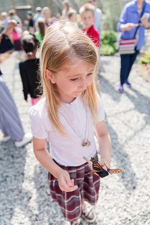Jennifer B Photography-All a Flutter Butterfly Farm-Field trip-2019-0100