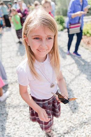 Jennifer B Photography-All a Flutter Butterfly Farm-Field trip-2019-0101