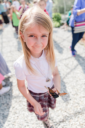 Jennifer B Photography-All a Flutter Butterfly Farm-Field trip-2019-0102