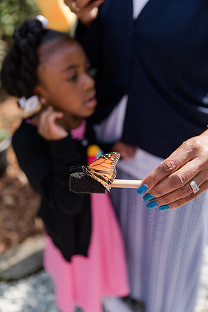 Jennifer B Photography-All a Flutter Butterfly Farm-Field trip-2019-0103