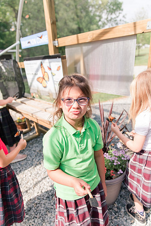 Jennifer B Photography-All a Flutter Butterfly Farm-Field trip-2019-0104