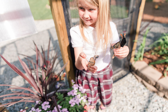 Jennifer B Photography-All a Flutter Butterfly Farm-Field trip-2019-0105