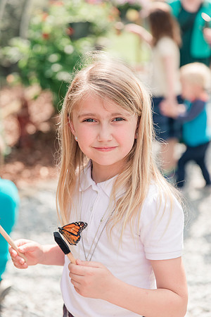 Jennifer B Photography-All a Flutter Butterfly Farm-Field trip-2019-0110