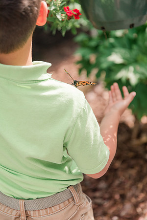 Jennifer B Photography-All a Flutter Butterfly Farm-Field trip-2019-0113
