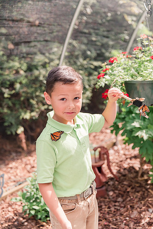 Jennifer B Photography-All a Flutter Butterfly Farm-Field trip-2019-0114