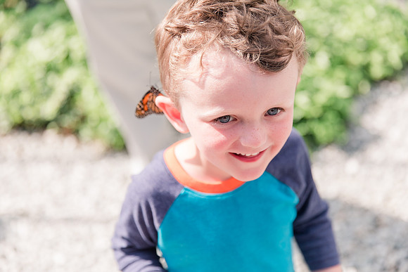 Jennifer B Photography-All a Flutter Butterfly Farm-Field trip-2019-0115