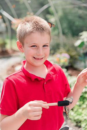 Jennifer B Photography-All a Flutter Butterfly Farm-Field trip-2019-0116