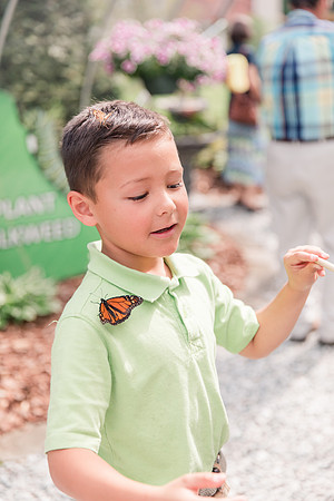 Jennifer B Photography-All a Flutter Butterfly Farm-Field trip-2019-0118