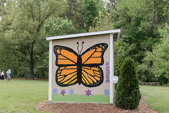 Jennifer B Photography-All a Flutter Butterfly Farm-Field trip-2019-0135