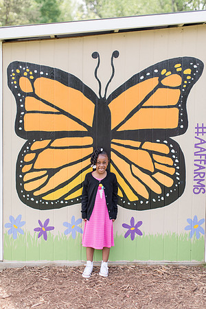 Jennifer B Photography-All a Flutter Butterfly Farm-Field trip-2019-0147