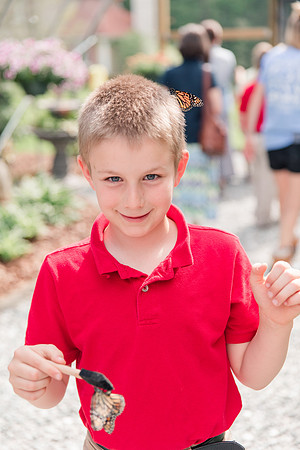 Jennifer B Photography-All a Flutter Butterfly Farm-Field trip-2019-0117