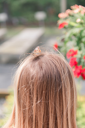 Jennifer B Photography-All a Flutter Butterfly Farm-Field trip-2019-0119