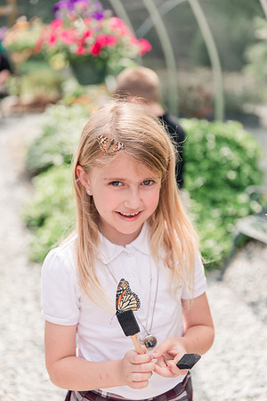 Jennifer B Photography-All a Flutter Butterfly Farm-Field trip-2019-0121