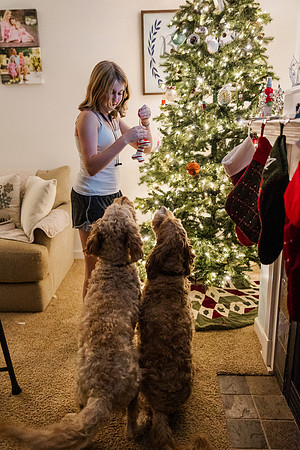 Jennifer B. Photography-tree decorating2023-0015