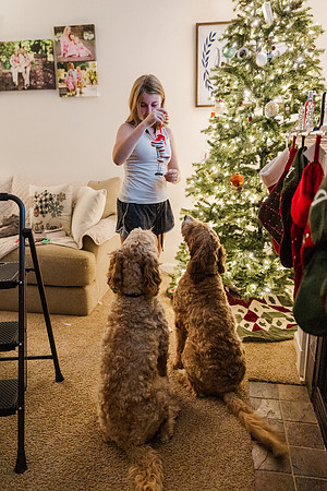 Jennifer B. Photography-tree decorating2023-0016