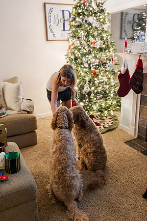 Jennifer B. Photography-tree decorating2023-0035