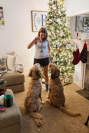 Jennifer B. Photography-tree decorating2023-0036