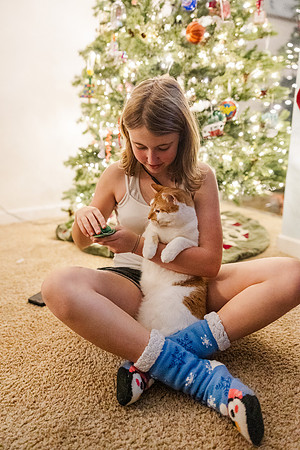 Jennifer B. Photography-tree decorating2023-0058
