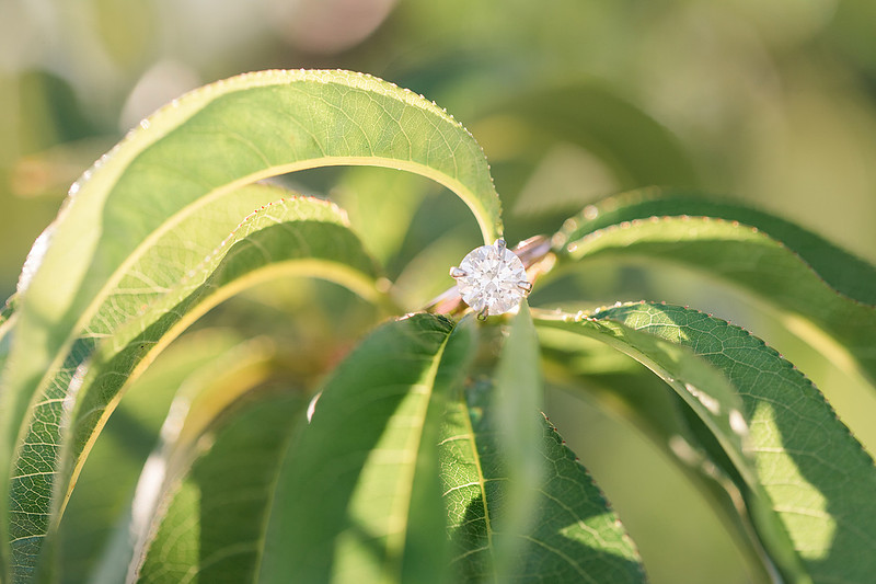 Jennifer B Photography_0663