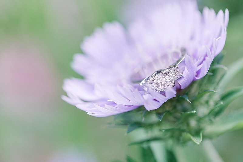 Jennifer B Photography_0932