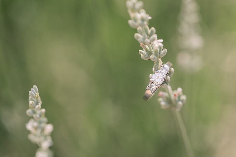 Jennifer B Photography_0933
