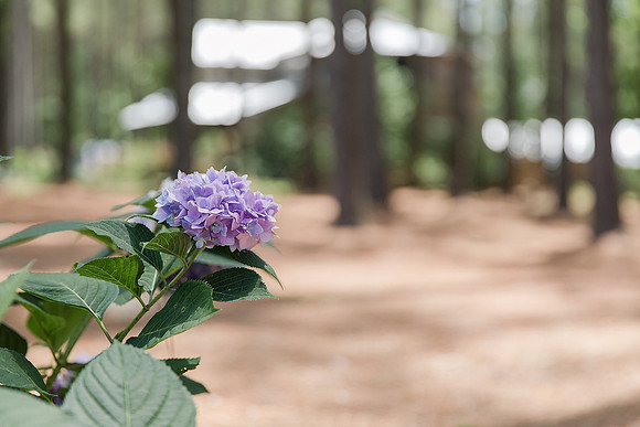 Jennifer B Photography_0996