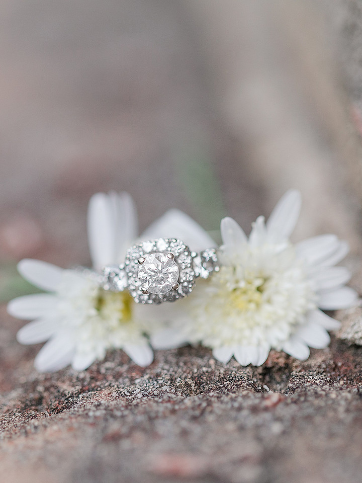 Jennifer B Photography_1427